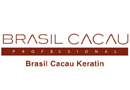 Logo BRASIL CACAU Minimal Style